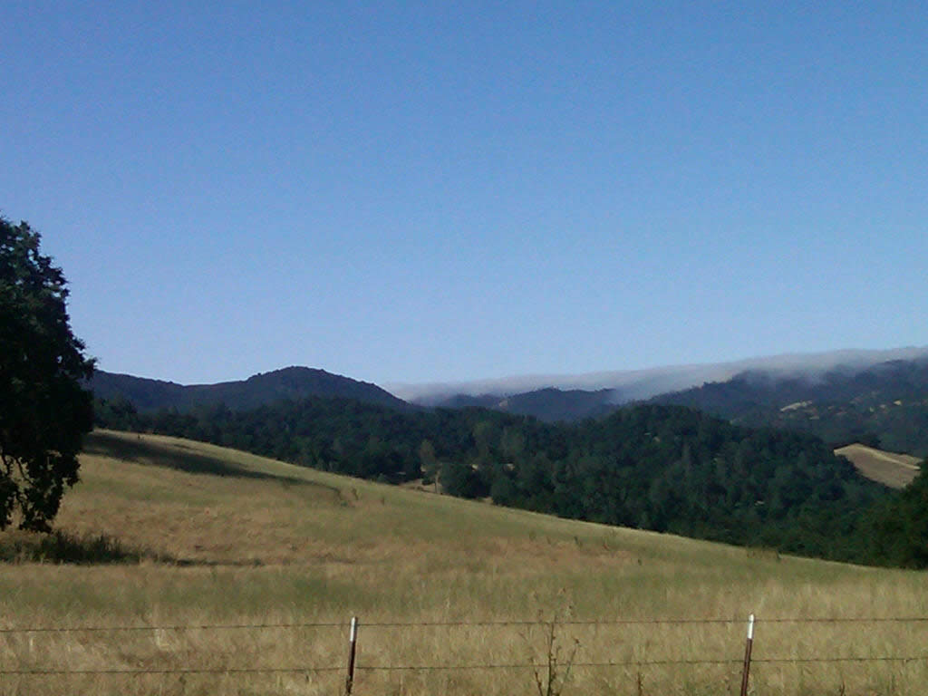 Fog over santa lucias