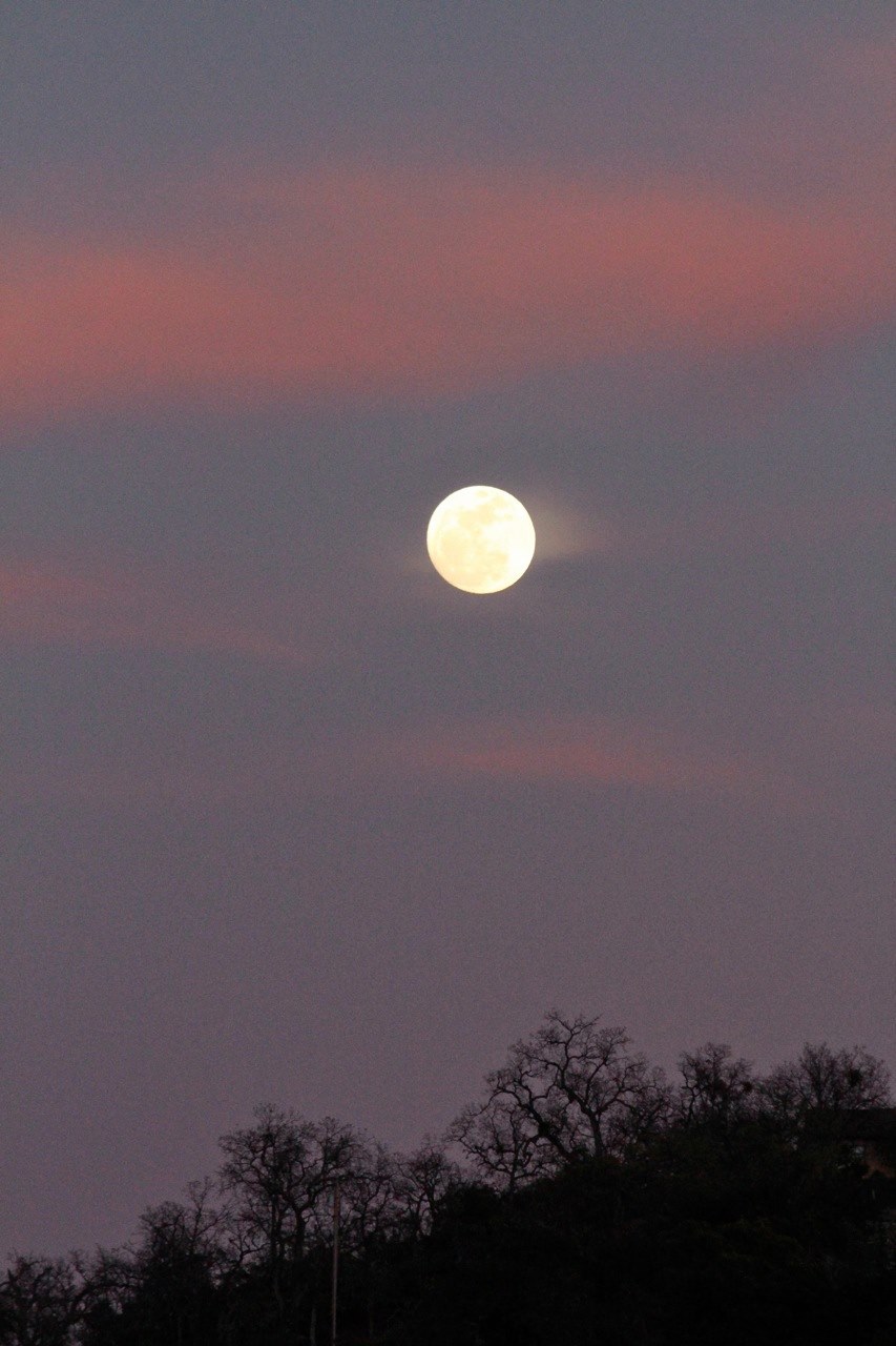 Moonrise at sunset Moonrise at sunset