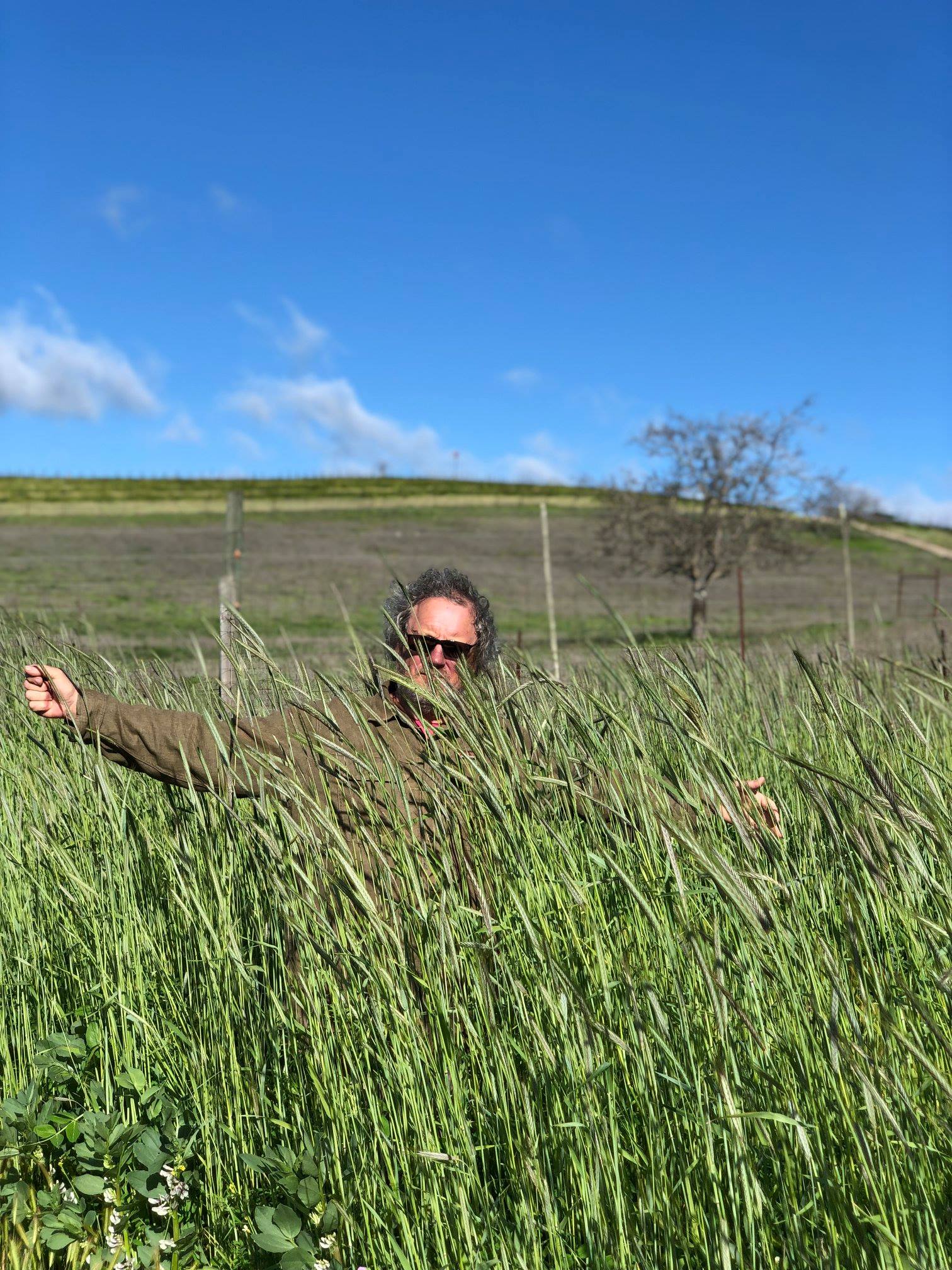 Neil lost in the cover crop April 2019 Neil lost in the cover crop April 2019