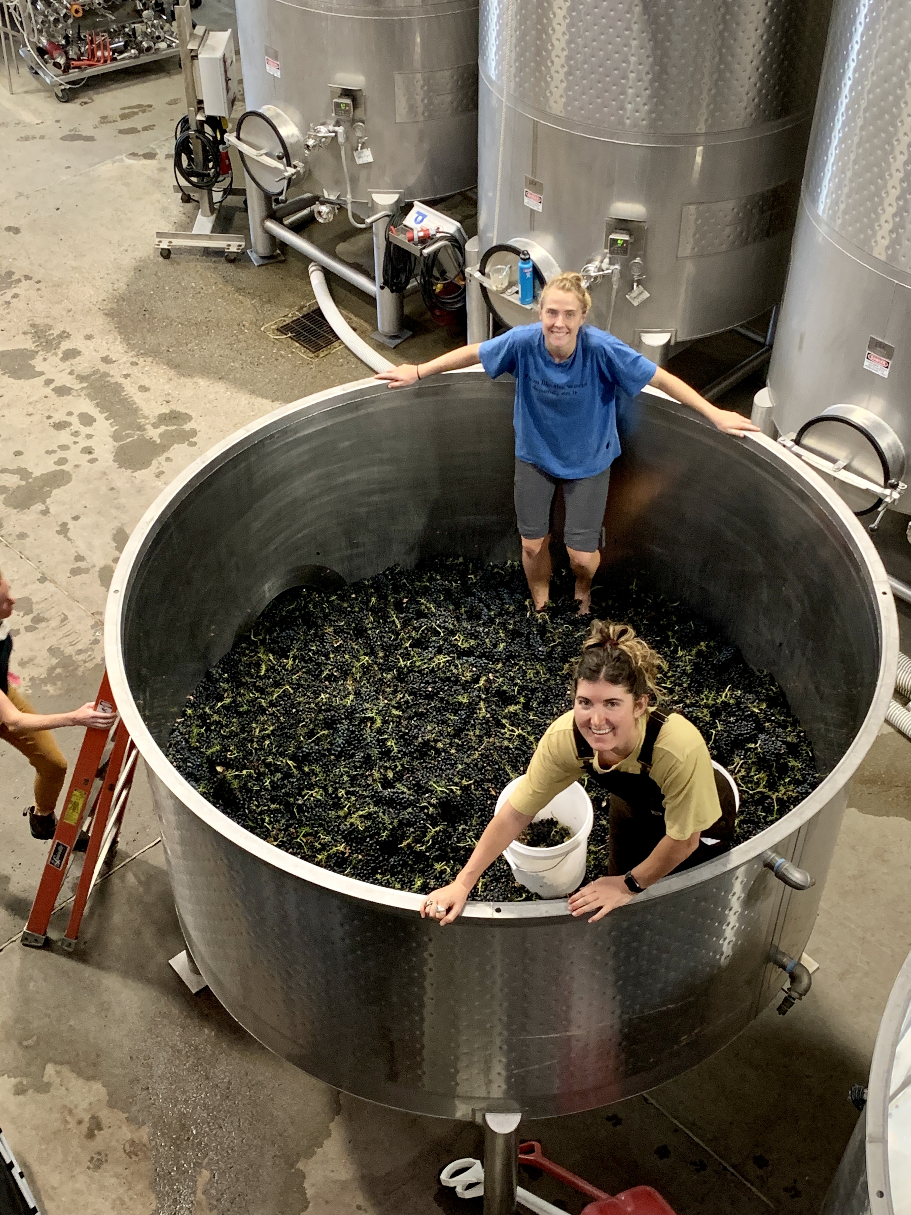 Foot treading syrah Foot treading syrah