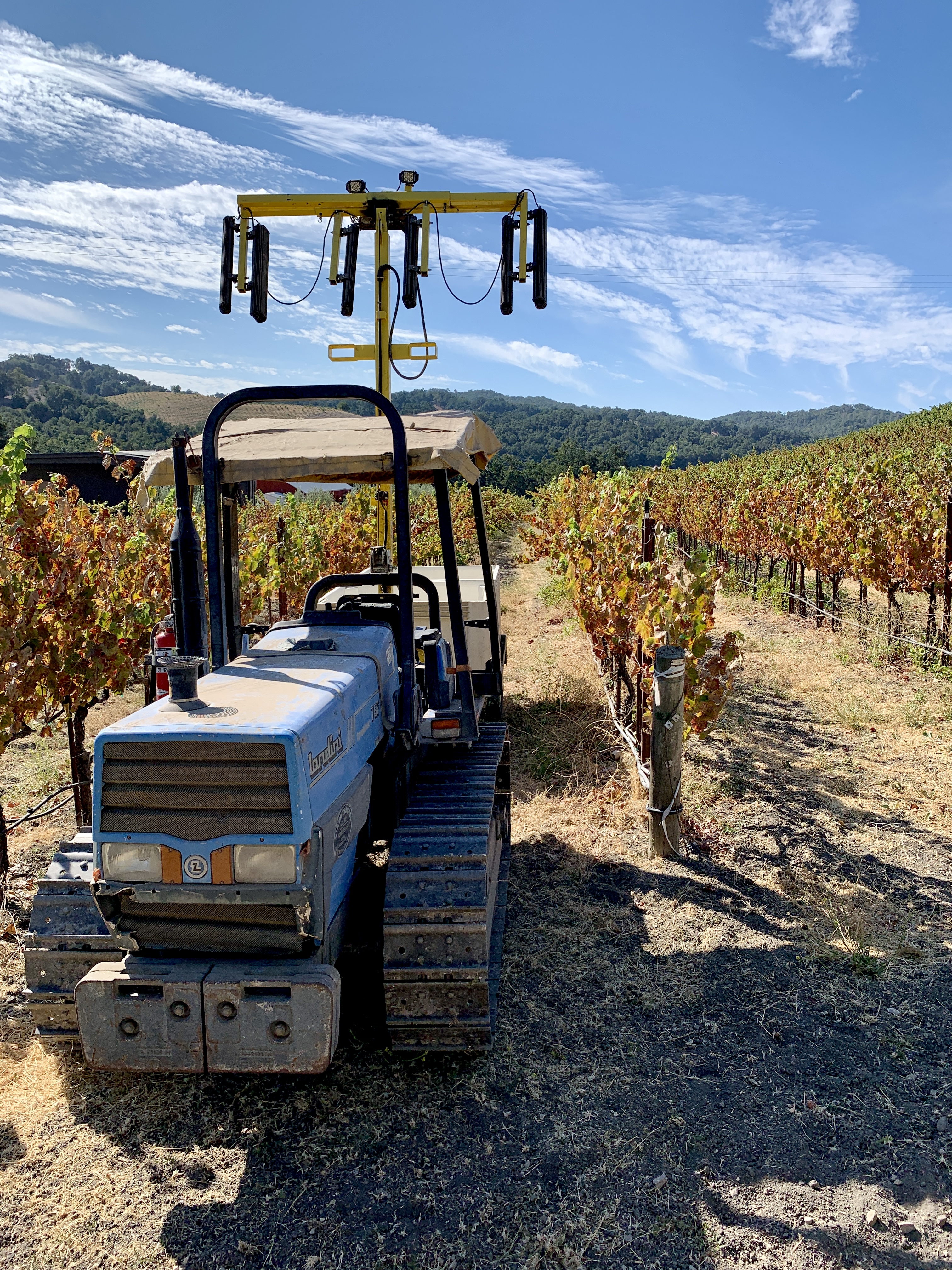 Tractor in front of colorful Mourvedre Tractor in front of colorful Mourvedre