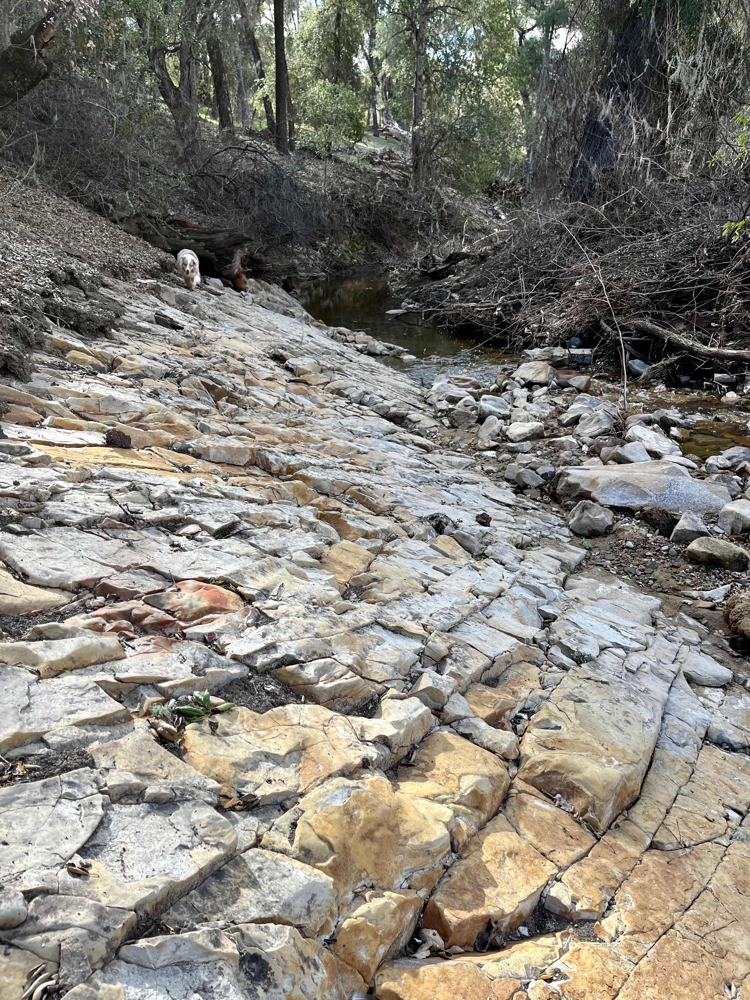 Creekbed with Sadie Creekbed with Sadie