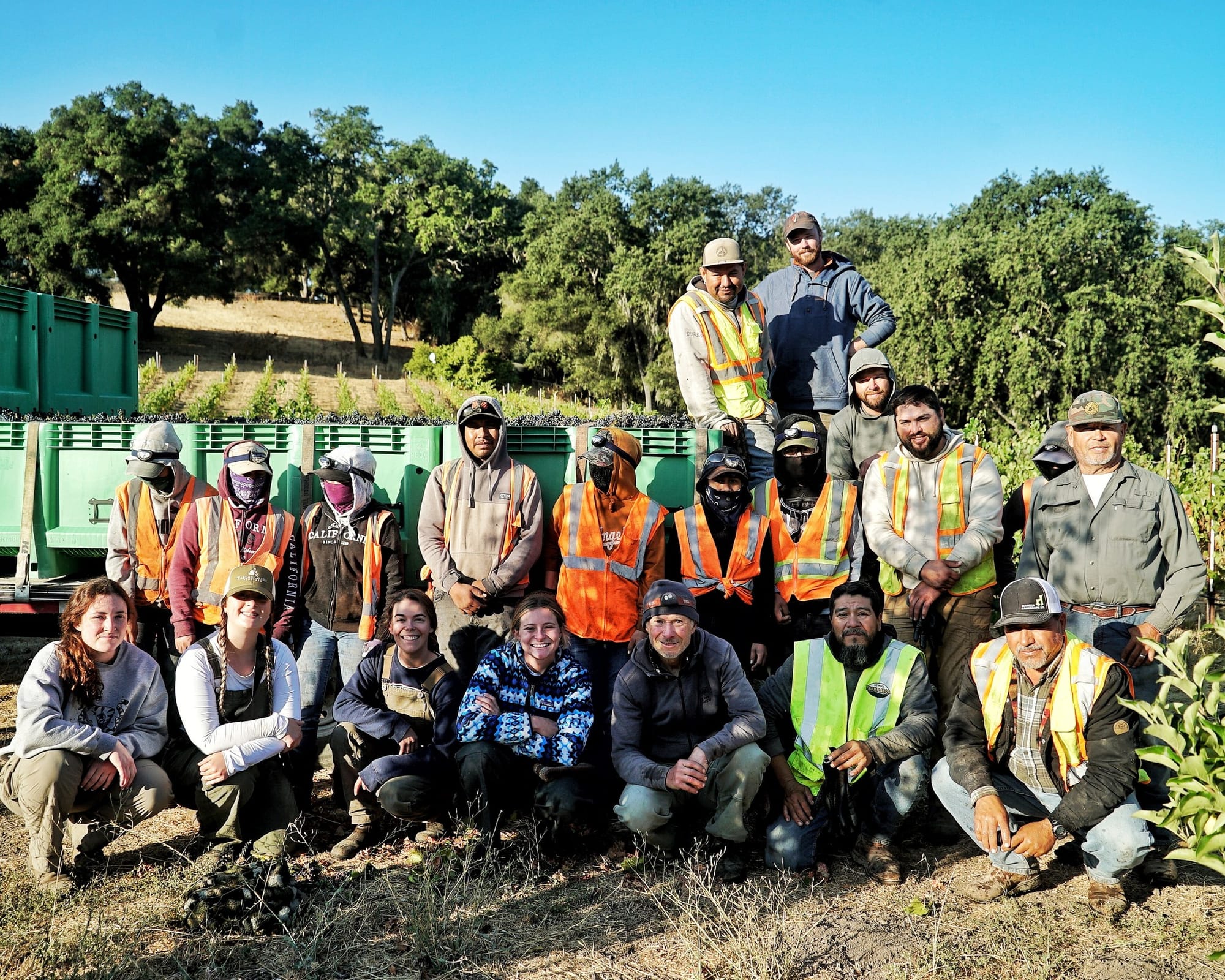 Harvest 2025 Team at Haas Vineyard