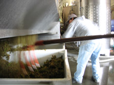 Bergeron grape stems, seeds, and skins are cleaned out of the press Bergeron grape stems, seeds, and skins are cleaned out of the press