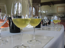 Blending_white_glasses Blending_white_glasses
