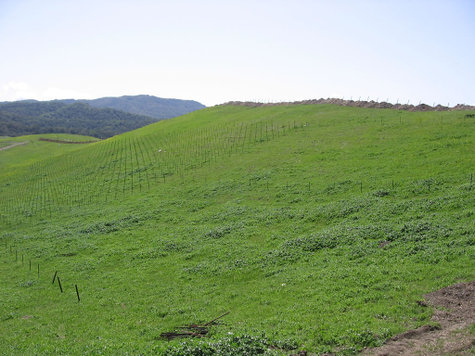 East_facing_slope East_facing_slope