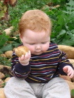 Eli_galets Eli_galets