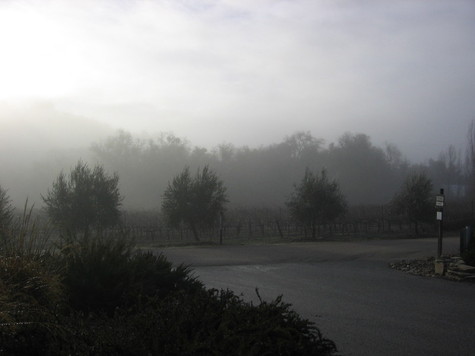 Foggy_morning_3 Foggy_morning_3