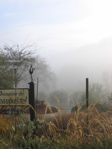 Foggy_morning_4 Foggy_morning_4