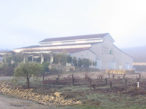 Foggy_morning_7 Foggy_morning_7