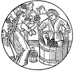Goodwineunder20_2 Goodwineunder20_2