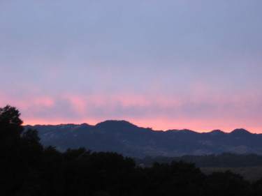 Img_0202 Img_0202