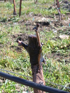 Img_0623 Img_0623