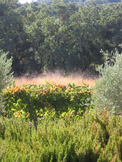 Img_5432 Img_5432