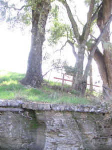 Limestone_layers_profile_with_trees Limestone_layers_profile_with_trees