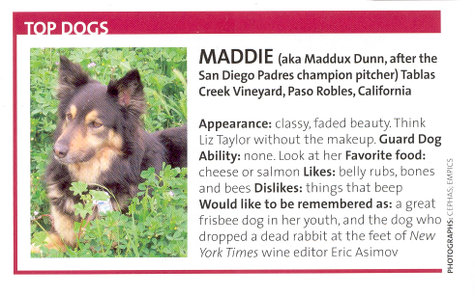 Maddie_decanter Maddie_decanter
