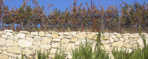Mount_mourvedre Mount_mourvedre
