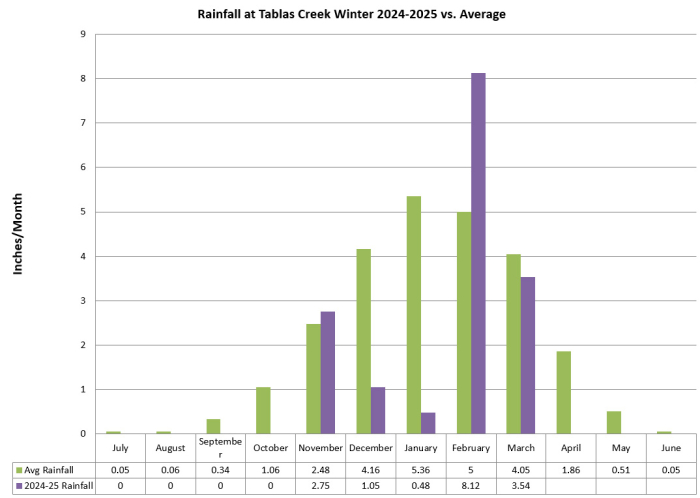Rainfall vs normal through Mar 2025 Rainfall vs normal through Mar 2025