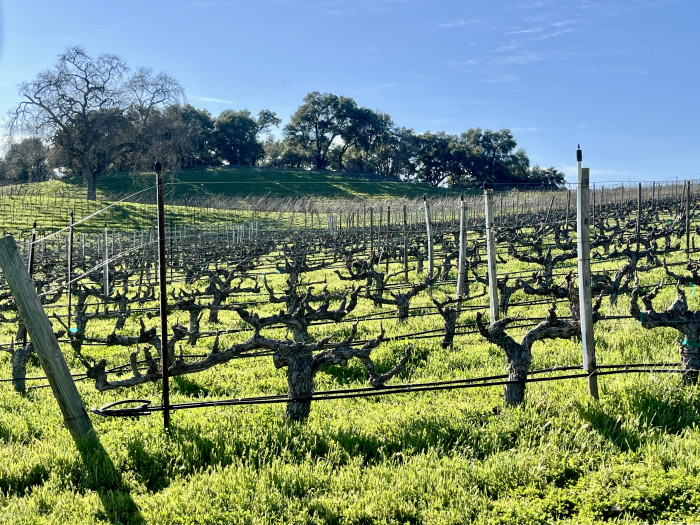 Feb 2025 - Grenache AV Feb 2025 - Grenache AV
