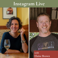 Elaine Brown on Conversation with Jason IGTV crop Elaine Brown on Conversation with Jason IGTV crop