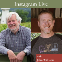 John Williams on Conversations with Jason IGTV crop John Williams on Conversations with Jason IGTV crop