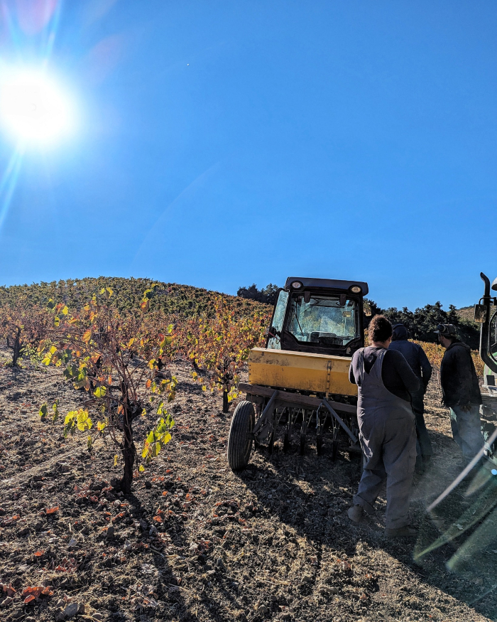 Seeding cover crop October 2024 Seeding cover crop October 2024