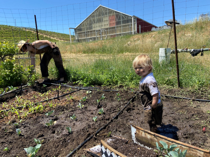 Finn garden Finn garden
