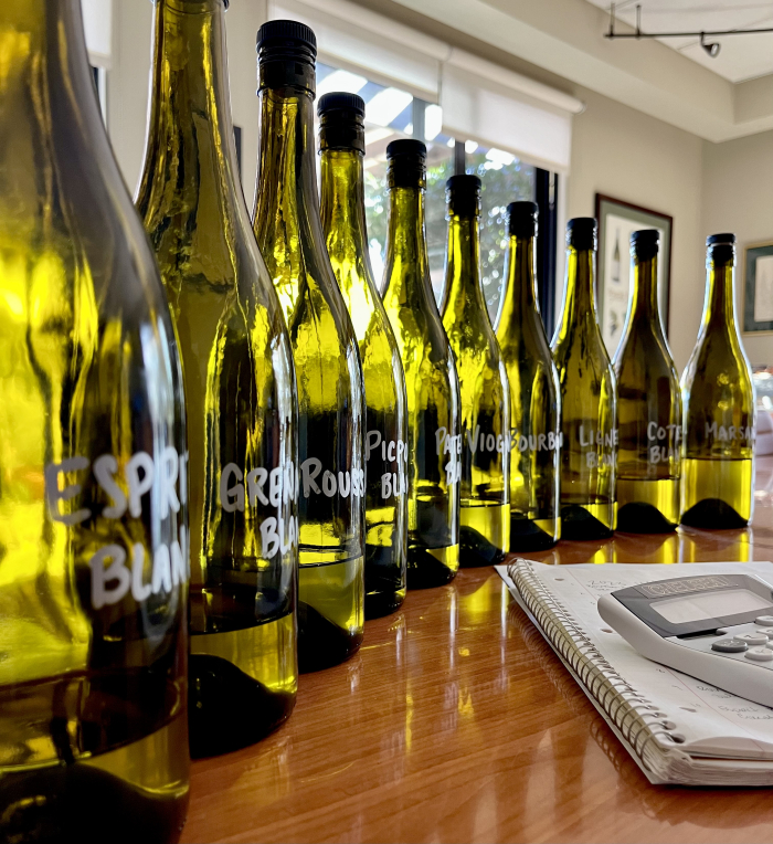2023 White Blending Wines 2023 White Blending Wines