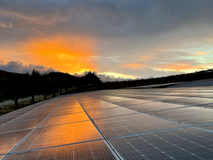 Fall sunset over solar panels Fall sunset over solar panels