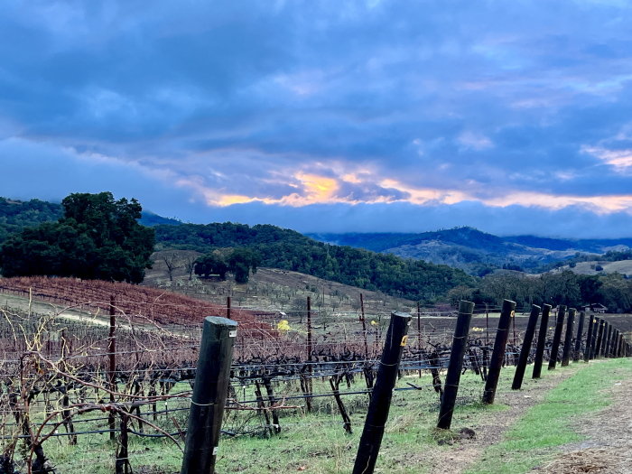 Winter sunset over Mourvedre and Santa Lucia Mountains Winter sunset over Mourvedre and Santa Lucia Mountains