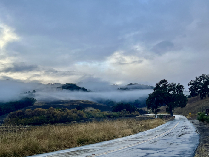 Fog lifting - Vineyard Drive Fog lifting - Vineyard Drive