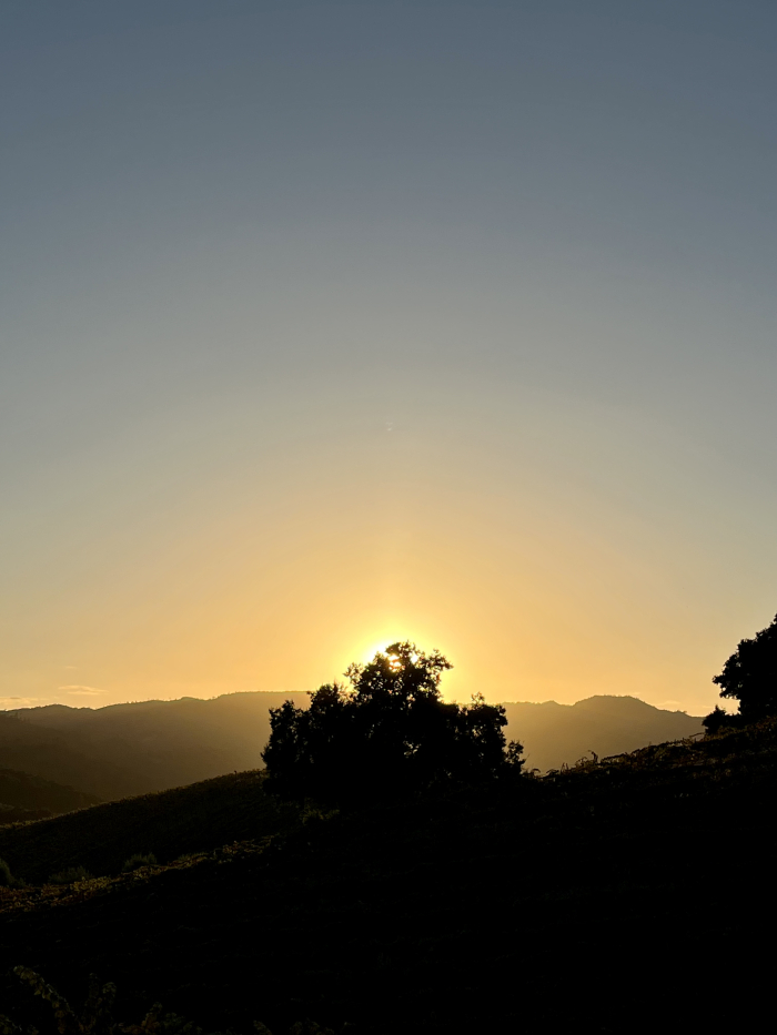 Autumn sunset vertical Autumn sunset vertical