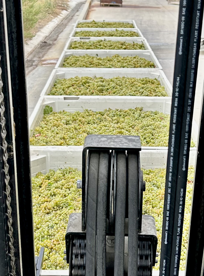 First Patelin Viognier from Forklift First Patelin Viognier from Forklift