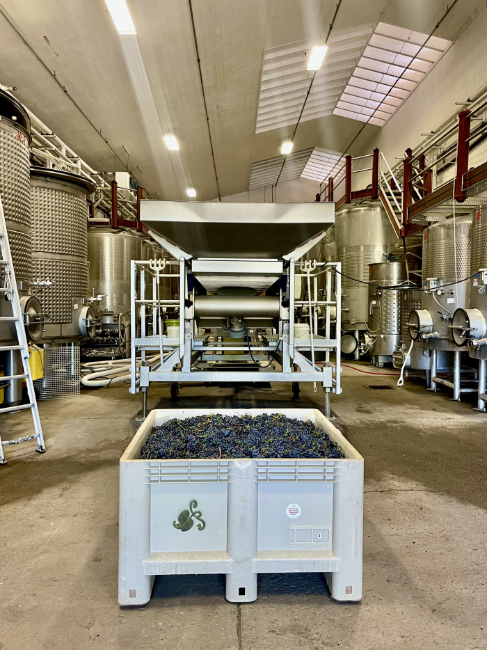 First bin of Syrah in Bin #1 First bin of Syrah in Bin #1