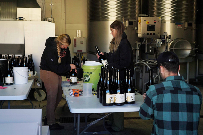 Tablas Creek 2023 Harvest Interns working - Web Tablas Creek 2023 Harvest Interns working - Web