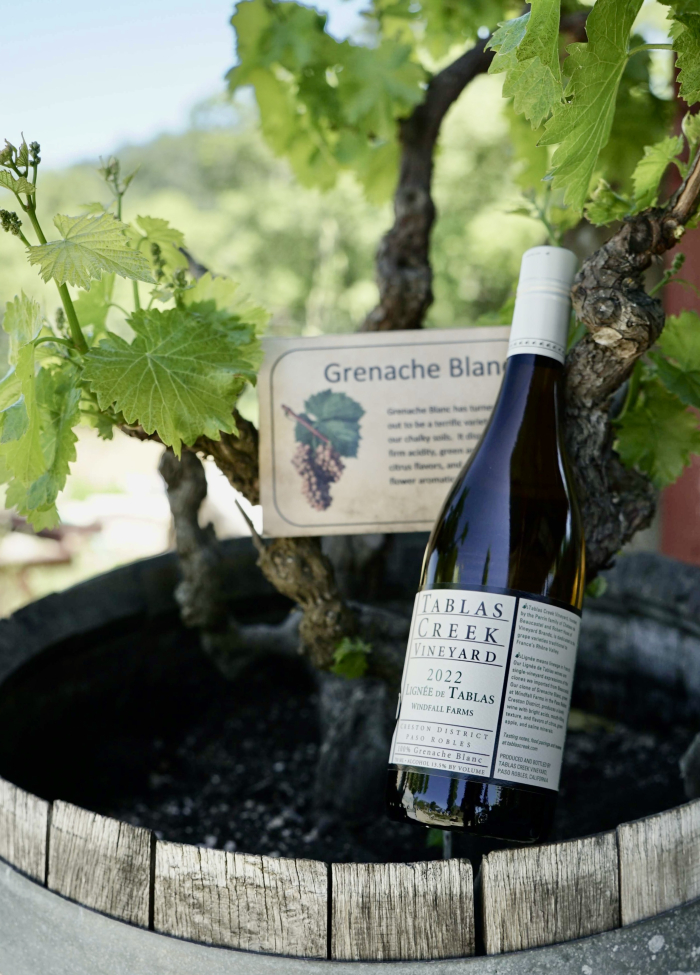 Lignee bottle next to mothervine - portrait Lignee bottle next to mothervine - portrait