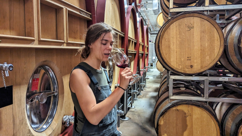 Kaitlyn Glynn tasting wine at TCV Kaitlyn Glynn tasting wine at TCV