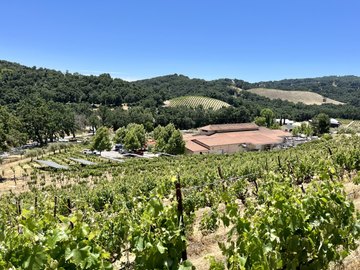Solstice 2023 - Long View over Winery Solstice 2023 - Long View over Winery