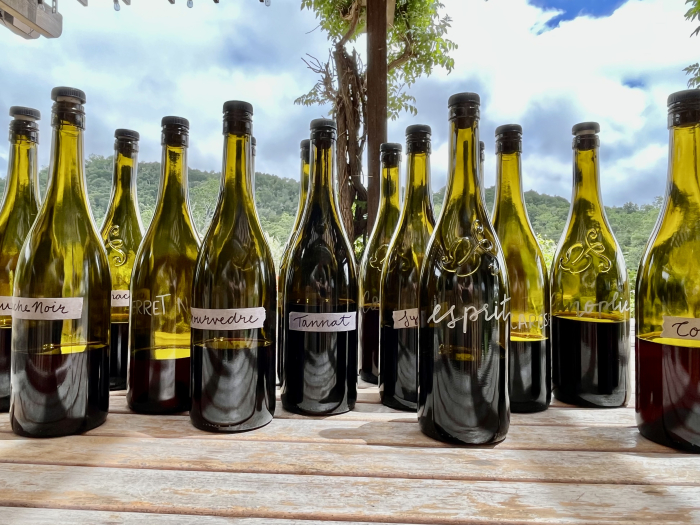 Blending 2022 Reds - Wines Blending 2022 Reds - Wines