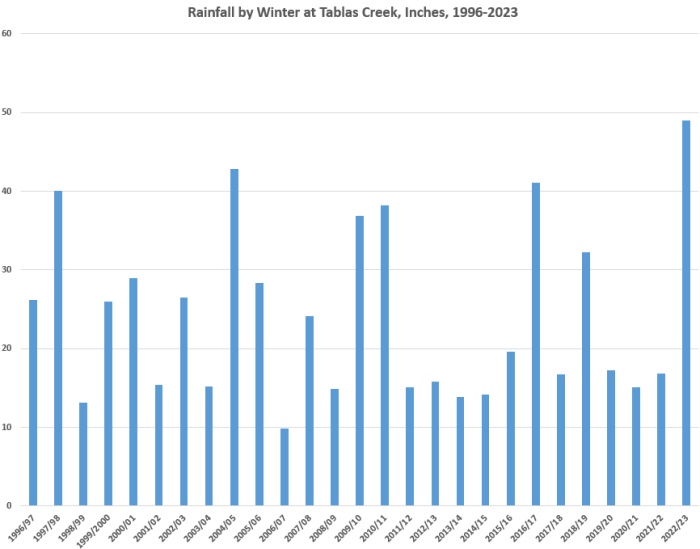 Winter Rainfall by Year 1996-2023 Winter Rainfall by Year 1996-2023
