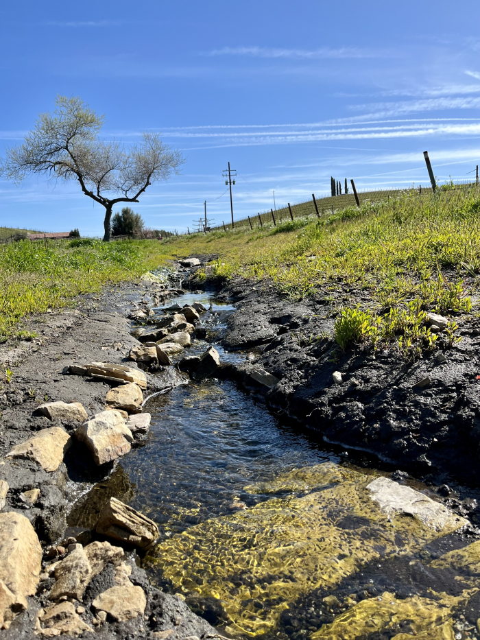 Water seeping out of Cotes Maduena April 2023 Water seeping out of Cotes Maduena April 2023