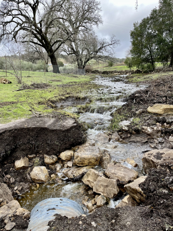 After the rain - water flowing from Halter Ranch After the rain - water flowing from Halter Ranch