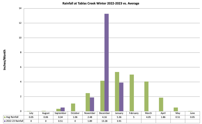 Rainfall by Month as of January 2023 Rainfall by Month as of January 2023