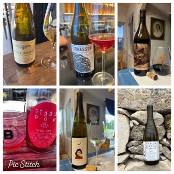 Ray's wines 2022 Ray's wines 2022