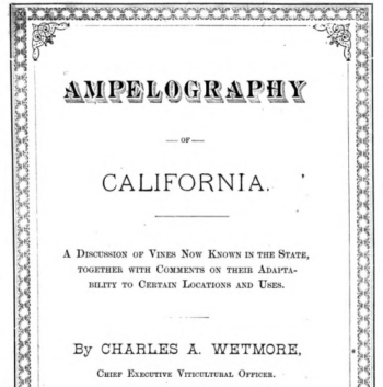 Ampelography Cover Page Ampelography Cover Page