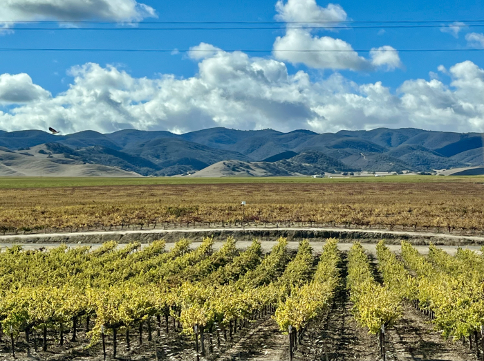 Salinas Valley beauty Nov 2022 Salinas Valley beauty Nov 2022