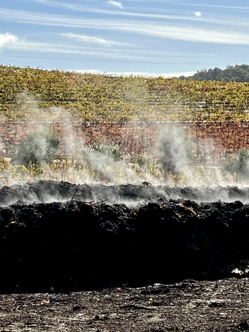 Compost Pile steaming Compost Pile steaming