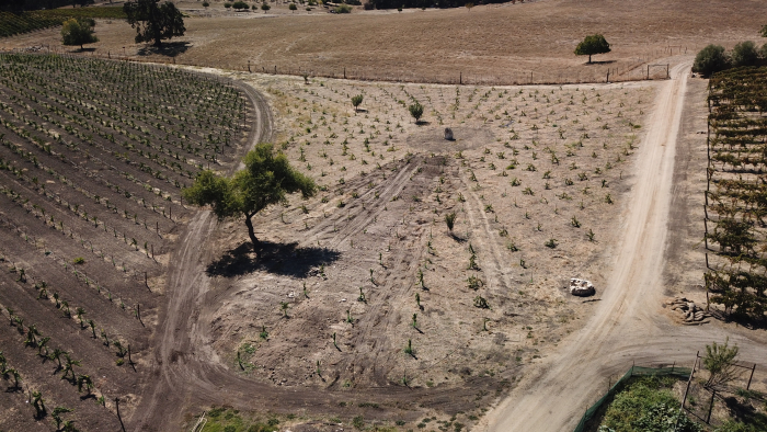 Aerial view of the wagonwheel block at Tablas Creek Aerial view of the wagonwheel block at Tablas Creek