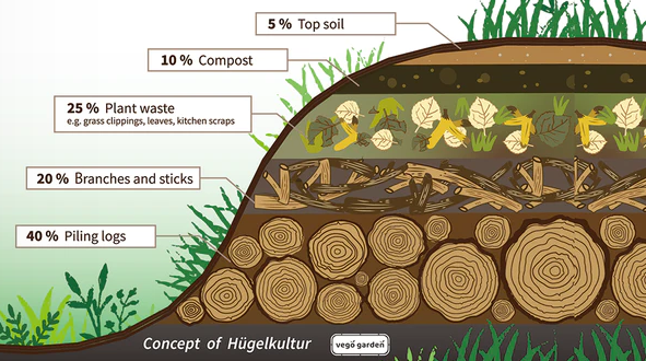 Hugelkultur graphic - credit vegogarden Hugelkultur graphic - credit vegogarden