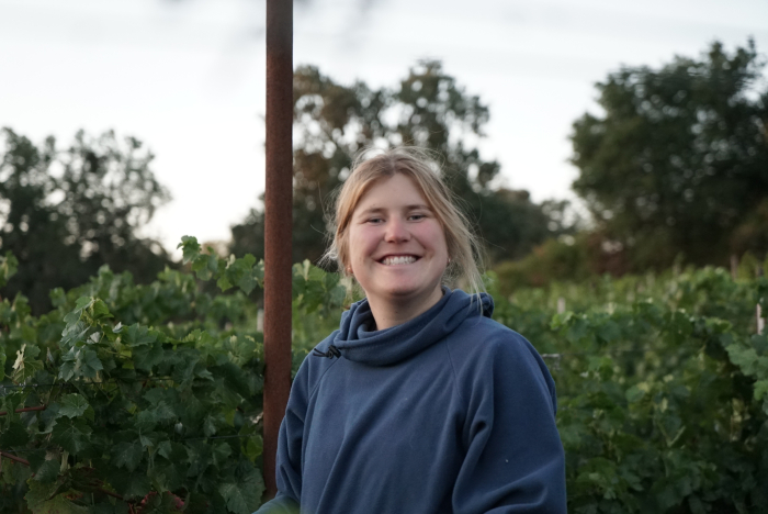 Louisa in the Vineyard Louisa in the Vineyard